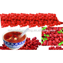 Jujube chinesische rote Datteln getrocknete Jujube